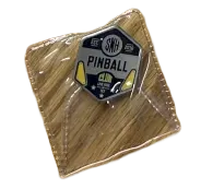 SNHPC logo pin